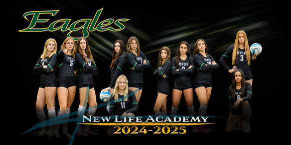 Volleyball1 copy